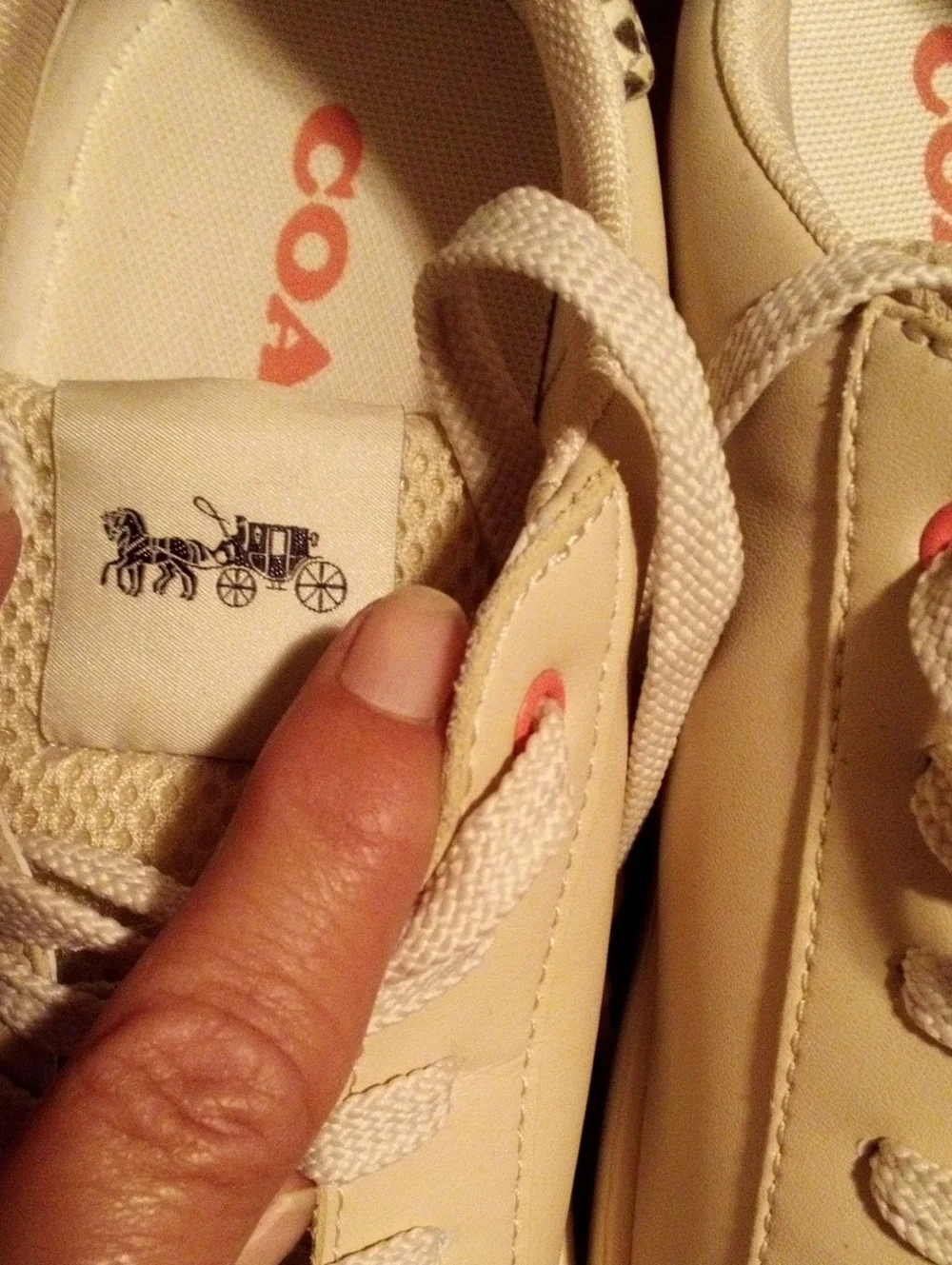 Coach X Jean-Michel Basquiat Famous Sneakers Limited Edition Like New